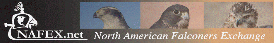 North American Falconers Exchange-Falconry Forums - Powered by vBulletin