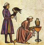 iiifalconer's Avatar