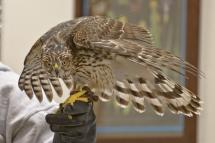 Photo by Michael P Greiner3
Don't mess with me!