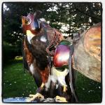 hawkman1220's Avatar